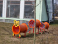 /album/fotogalerie/20220315-093959-jpg/